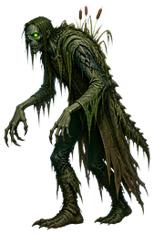 The Swamp Shadow